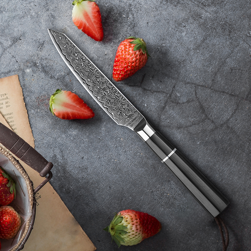 ORANGLES Exquisite Commercial Kitchen Knife – Household - detailed closeup view - illustrating benefits - Image 3 of 6 | created for all | Shop Exquisite Commercial Kitchen Knife – Household North Carolina | Free Shipping ORANGLES