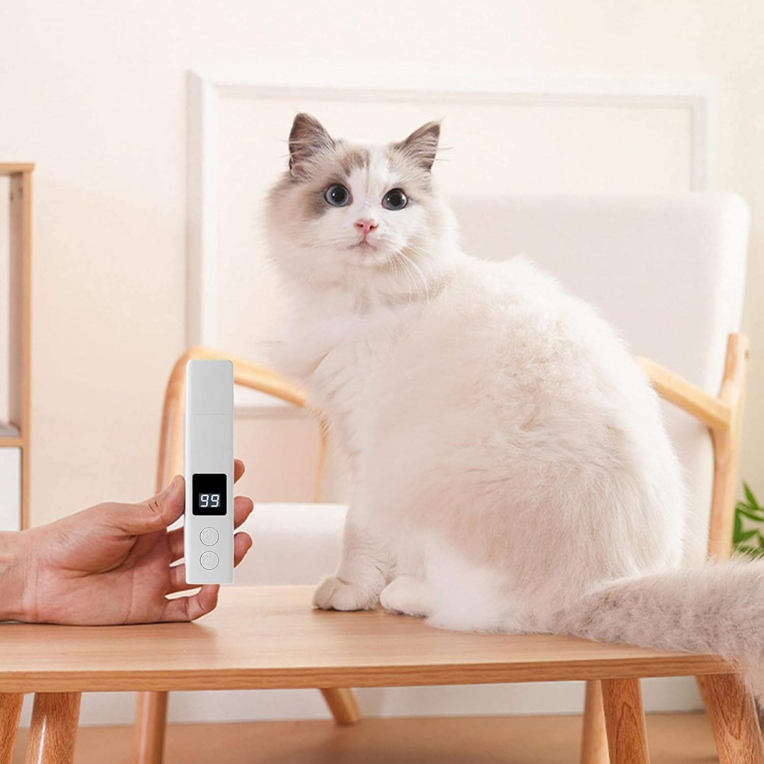 ORANGLES Electric Pet Nail Grinder – LED Light & Dust Cover - high resolution display - exposing craftsmanship - Image 2 of 6 | built for everyone | Electric Pet Nail Grinder – LED Light & Dust Cover for sale Georgia | Free Shipping ORANGLES