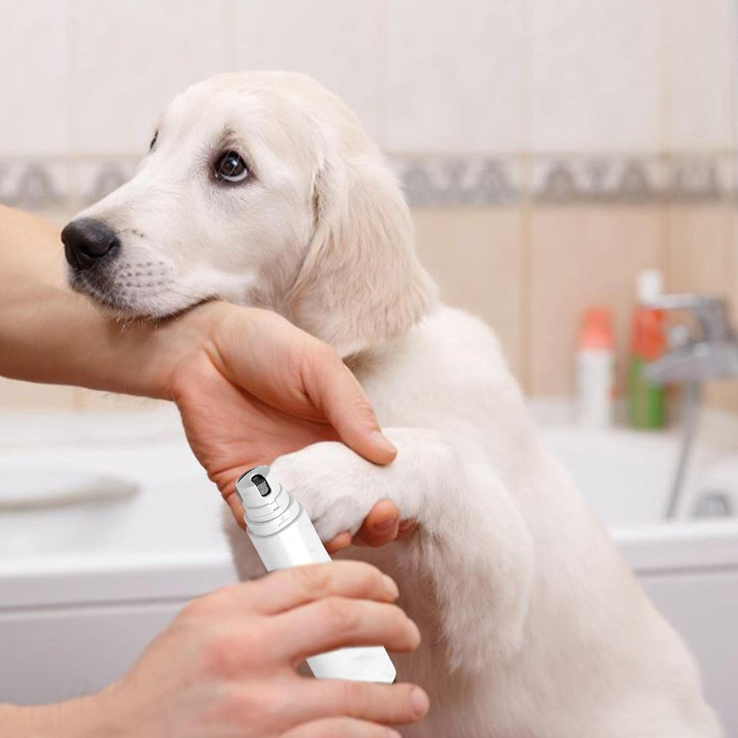 ORANGLES Electric Pet Nail Polisher – Automatic & Rechargeable - angled perspective - presenting advantages - Image 4 of 6 | fits any environment | Purchase Electric Pet Nail Polisher – Automatic & Rechargeable Michigan | Free Shipping ORANGLES