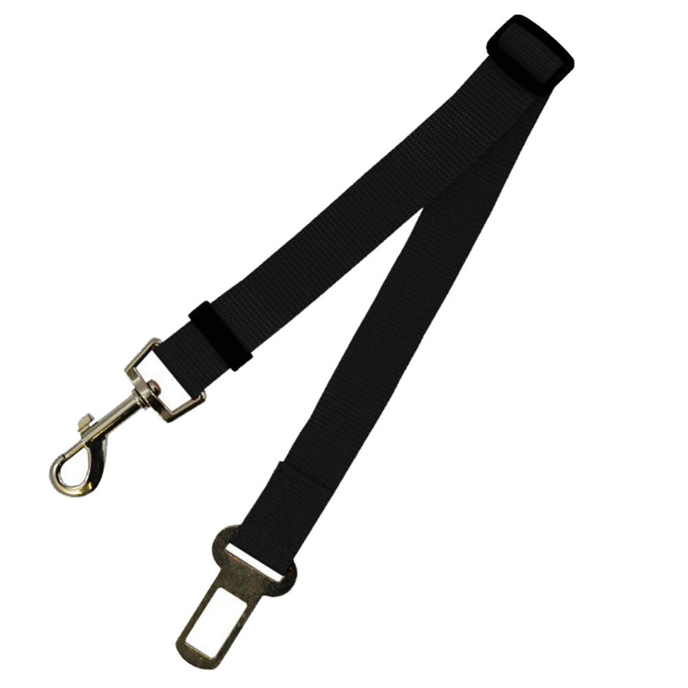 ORANGLES Fixed Strap Polyester Dog Strap Dog Leash - angled perspective - presenting advantages - Image 4 of 5 | fits any environment | Purchase Fixed Strap Polyester Dog Strap Dog Leash Michigan | Free Shipping ORANGLES