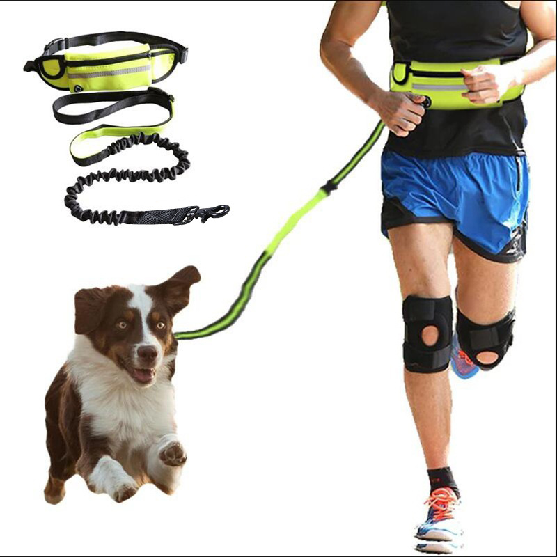 Hands Free Dog Leash With Bungee And Storage