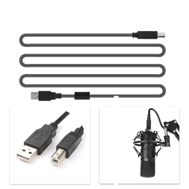 ORANGLES Portable Microphone for Recording and Live Performance - detailed closeup view - Image 3 of 4 | great for travel | Texas | Free Shipping ORANGLES