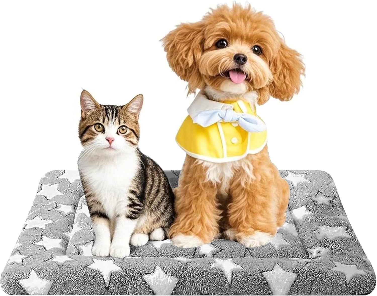 ORANGLES Soft Dog Bed Mat for Crate & Kennel | Comfortable Durable Pet Crate Pad for Dogs & Cats Home Use  - Main Product Image - professional product shot revealing details | Best price Soft Dog Bed Mat for Crate & Kennel | Comfortable Durable Pet Crate Pad for Dogs & Cats Home Use authentic product Ohio | ORANGLES