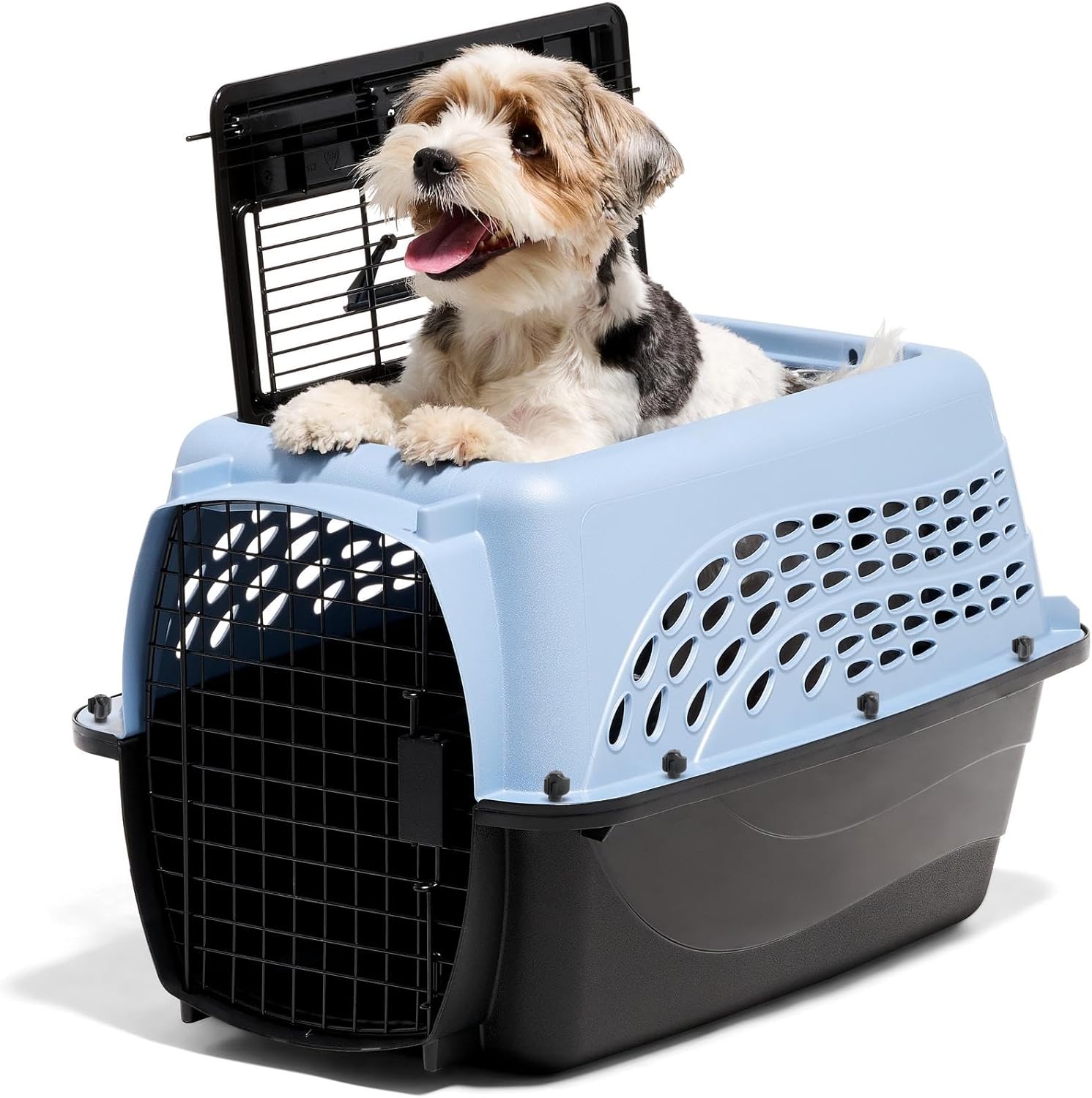ORANGLES Petmate 24 Inch Two-Door Plastic Pet Kennel Blue | Top & Front Loading Dog Crate & Cat Carrier for Small Pets Made in USA  - Main Product Image - professional product shot revealing details | Best price Petmate 24 Inch Two-Door Plastic Pet Kennel Blue | Top & Front Loading Dog Crate & Cat Carrier for Small Pets Made in USA authentic product Ohio | ORANGLES