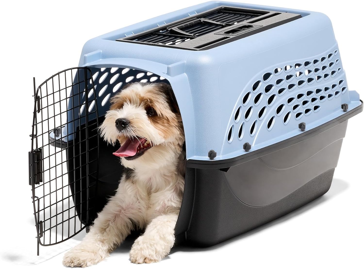 ORANGLES Petmate 24 Inch Two-Door Plastic Pet Kennel Blue | Top & Front Loading Dog Crate & Cat Carrier for Small Pets Made in USA - elegant presentation - exhibiting components - Image 6 of 6 | ideal for home | Discount on Petmate 24 Inch Two-Door Plastic Pet Kennel Blue | Top & Front Loading Dog Crate & Cat Carrier for Small Pets Made in USA Virginia | Free Shipping ORANGLES