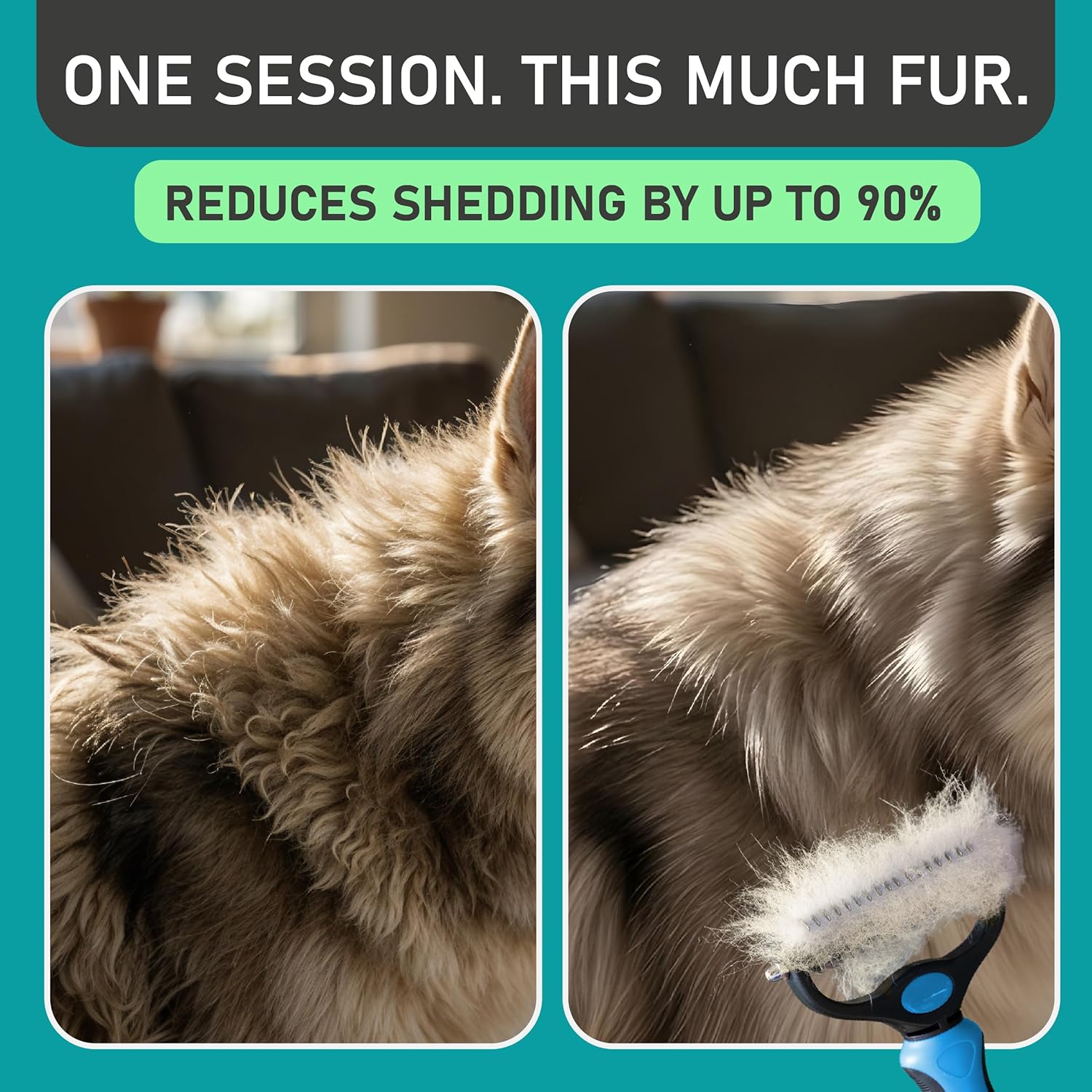 ORANGLES Original Pet Grooming Rake – Double-Sided Deshedding & Dematting Tool – Undercoat Rake for Dogs & Cats – Extra-Wide Brush – Reduces Shedding 95% - angled perspective - presenting advantages - Image 4 of 6 | fits any environment | Purchase Original Pet Grooming Rake – Double-Sided Deshedding & Dematting Tool – Undercoat Rake for Dogs & Cats – Extra-Wide Brush – Reduces Shedding 95% Michigan | Free Shipping ORANGLES