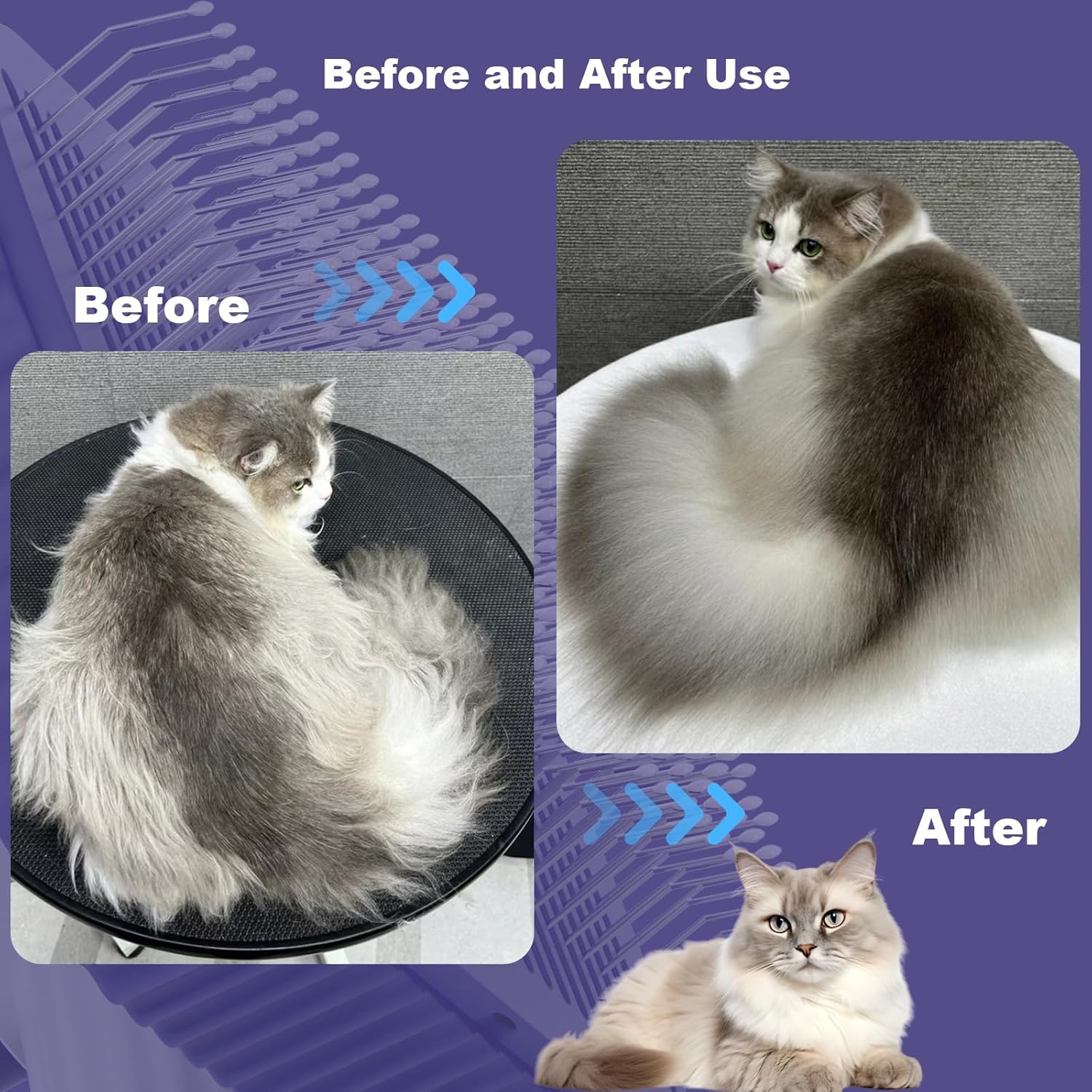 ORANGLES Cat Brush for Long or Short Haired Cats – Remove Loose Fur and Mats – Rounded Pins Reduce Painful Pulling – Dark Blue - elegant presentation - exhibiting components - Image 6 of 6 | ideal for home | Discount on Cat Brush for Long or Short Haired Cats – Remove Loose Fur and Mats – Rounded Pins Reduce Painful Pulling – Dark Blue Virginia | Free Shipping ORANGLES