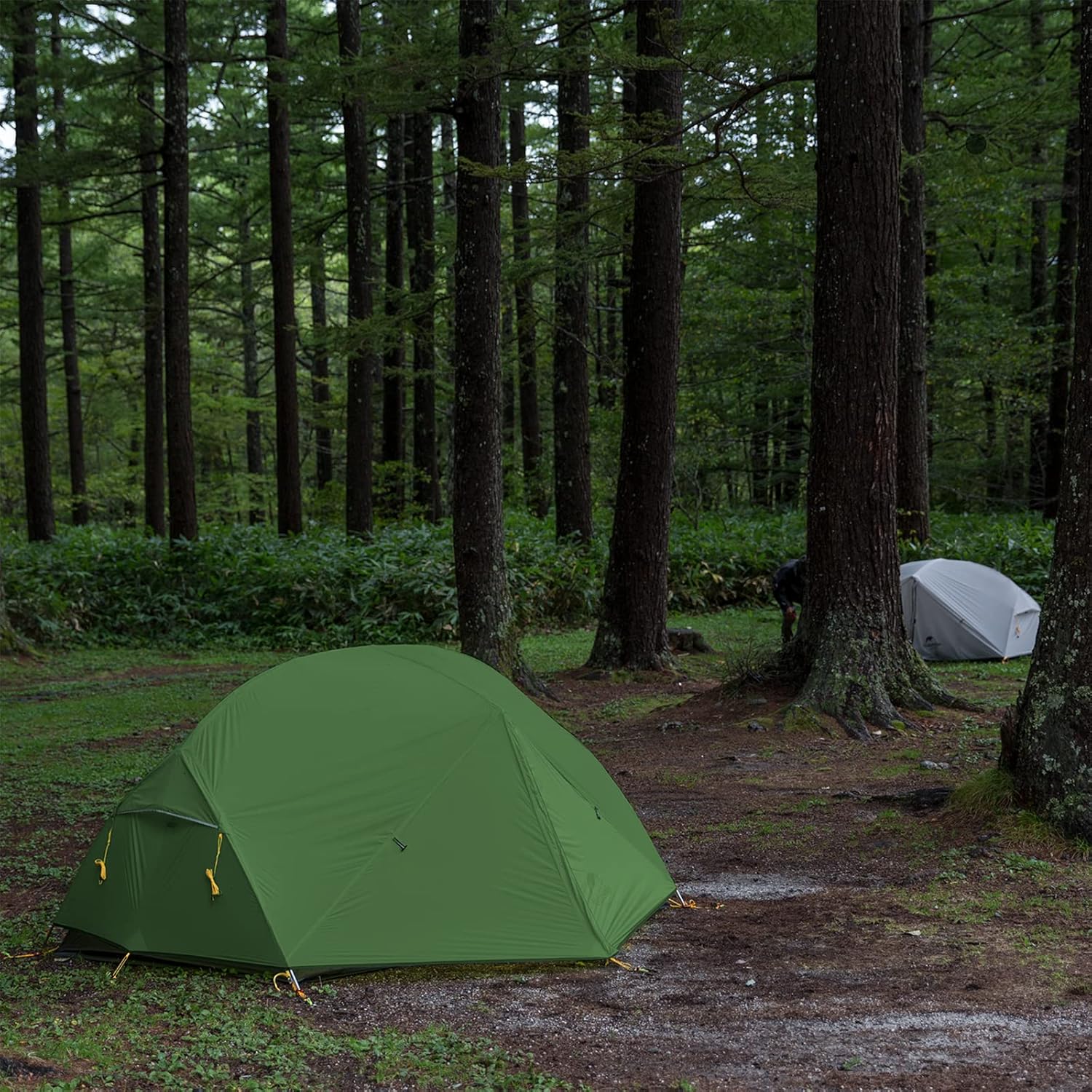 ORANGLES Naturehike Mongar 2-Person Backpacking Tent 3-Season | Lightweight Waterproof Double Layer Camping Tent with Footprint for Hiking & Outdoor - high resolution display - Image 2 of 6 | perfect for office | California | Free Shipping ORANGLES